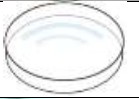 Petri Dish Petri Dish